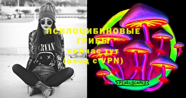 гидра Алзамай