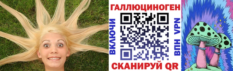 Псилоцибиновые грибы прущие грибы  кракен сайт  сайты даркнета официальный сайт  закладка  Чистополь 