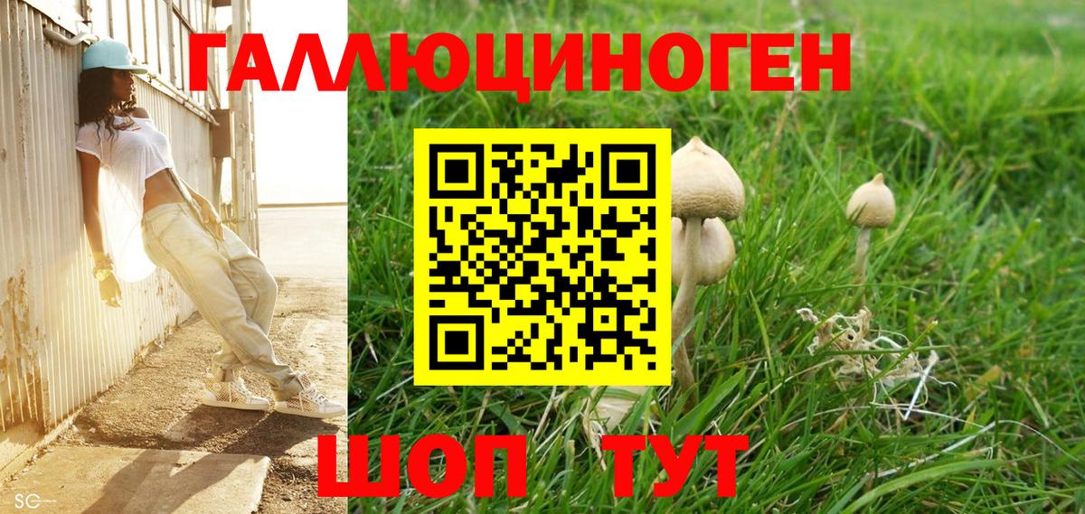 Галлюциногенные грибы прущие грибы  Вход с VPN  Чистополь 